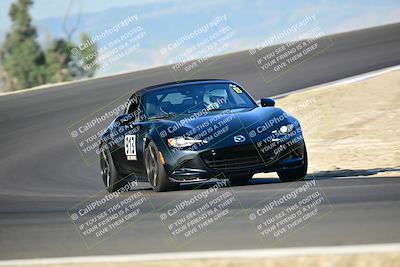 media/Mar-01-2025-Turn8 Trackdays (Sat) [[3bac13d0ad]]/Inter 3/Session 1 (Turns 2 and 3)/